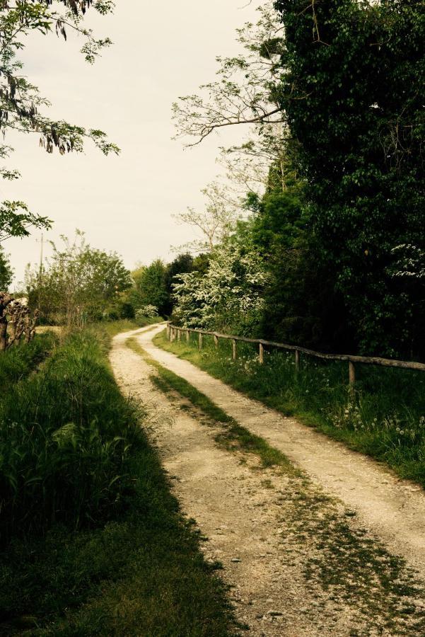 Natura Cavallino-Treporti Bagian luar foto