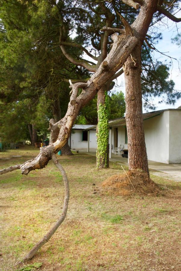 Natura Cavallino-Treporti Bagian luar foto