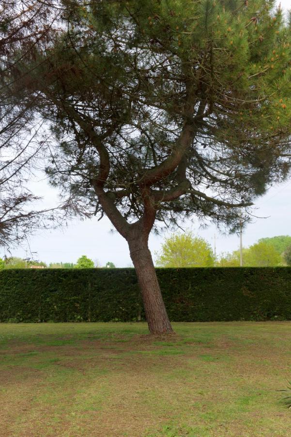 Natura Cavallino-Treporti Bagian luar foto